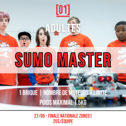 Sumo-Master Adult Team