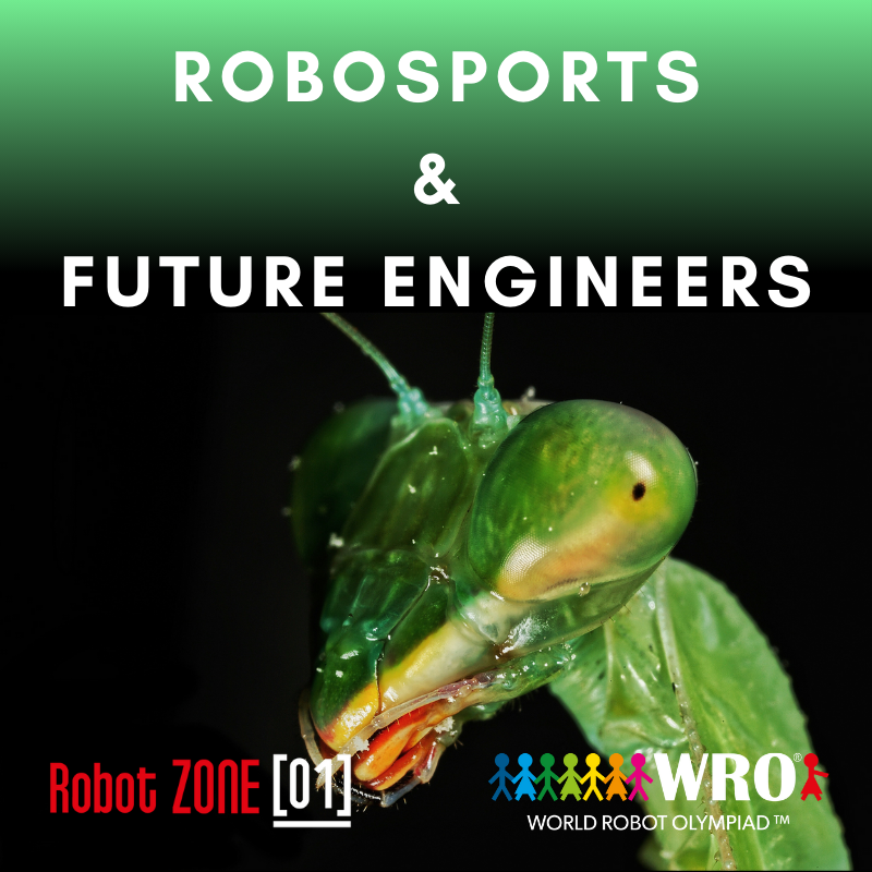 Team WRO- RoboSports 11-19