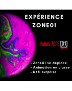 Zone01 Experience